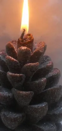 Enhance the look of your phone with this peaceful live wallpaper featuring a burning candle resting on a pine cone