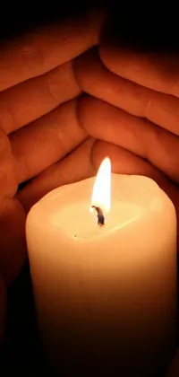 Candle Flame Heat Live Wallpaper