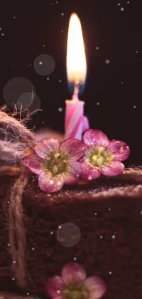 This live wallpaper showcases a mouth-watering piece of cake with a glowing candle on top, complemented by a vibrant flower in its vicinity