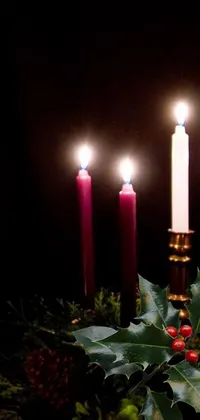 Candle Plant Lighting Live Wallpaper