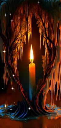 Candle Plant Wax Live Wallpaper