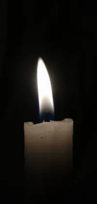 Candle Wax Fire Live Wallpaper