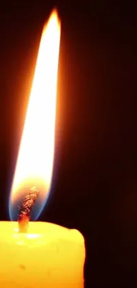 This live wallpaper for your phone captures the serene and cozy feelings of a glowing candle in the dark