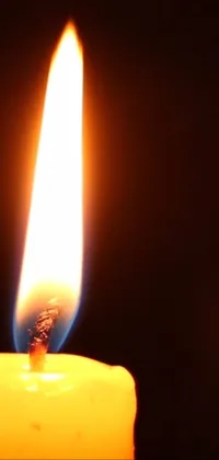 Candle Wax Fire Live Wallpaper