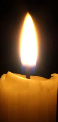 Candle Wax Light Live Wallpaper