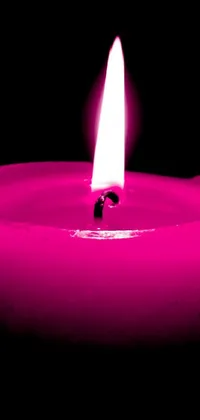 Illuminate your phone screen with this serene live wallpaper featuring the soft glow of a pink candle in the darkness
