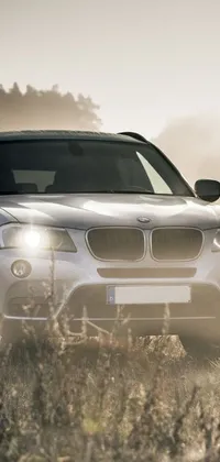 This stunning live wallpaper features a sleek silver BMW SUV parked in a tranquil field, surrounded by nature