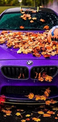 This live wallpaper showcases a purple BMW parked on a leafy roadside, exuding an enigmatic vibe