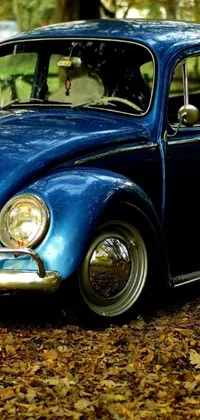 Experience the beauty of autumn with this stunning phone live wallpaper of a blue VW Beetle parked in the midst of a forest