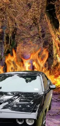 This live wallpaper features a deserted car on the side of the road against a backdrop of woods on fire and flame ferns, creating an edgy, auto-destructive art-inspired aesthetic