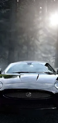 This stunning live wallpaper features a sleek black sports car driving through a beautiful forest with a panther gracefully gliding across the path