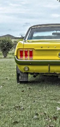 This phone live wallpaper showcases a vintage yellow mustang parked on a lush green field while a retro-style Bulli van stands in the background