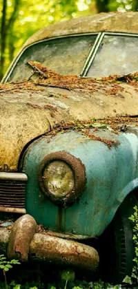 This stunning live wallpaper features an old, rusty car parked in the middle of a forest