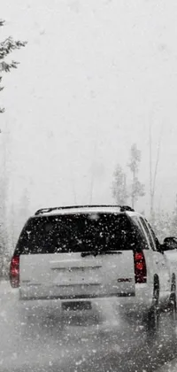 Enjoy the winter scenery with this phone live wallpaper featuring a van driving down a snow-covered road