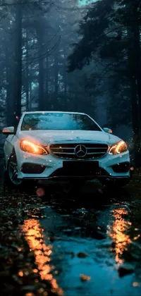This phone live wallpaper offers a mesmerizing visual of a sleek white car parked in the midst of luscious green trees in a dense forest