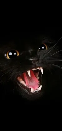 This phone live wallpaper showcases a breathtaking close-up of a black cat with an open mouth