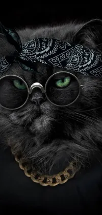 This live wallpaper is a stunning digital artwork featuring a black cat wearing glasses and a bandana with a hip hop vibe