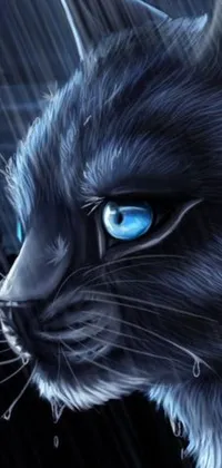This live wallpaper depicts a fierce, blue-eyed cat on the brink of battle