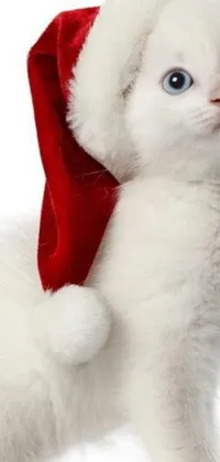 Enhance your phone's background with a charming live wallpaper featuring a lively white cat adorned in a Santa hat or a trendy red backward cap