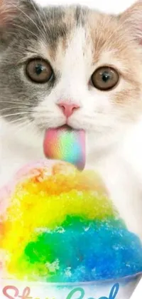Looking for a lively and vibrant live wallpaper for your phone? Look no further than this delightful piece featuring a cute little cat licking a rainbow ice cream cone! The image is set against a colorful background filled with happy emoticons and a trail of rainbow smoke hangs in the air above the kitty's head