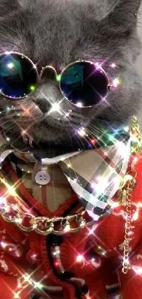This lively phone live wallpaper features a close up of a cat boldly wearing sunglasses, glittering lights, and Burberry-inspired festive clothing