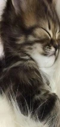 This stunning phone live wallpaper features an adorable sleeping kitten atop a white blanket