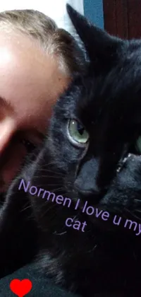 This phone live wallpaper features a stunning close-up of an adorable black cat taking a selfie