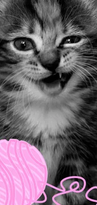 This live wallpaper showcases a playful and cute black and white photo of a kitten with a ball of yarn