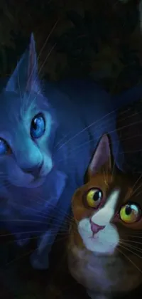 This phone live wallpaper features two adorable cats sitting together
