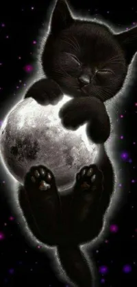 This live phone wallpaper showcases a stunning digital rendering of a black cat resting on a full moon