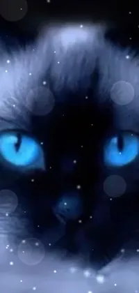 This stunning phone live wallpaper features a close-up of a mystical cat with blue eyes