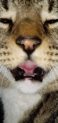This phone live wallpaper showcases a stunning close-up of a feline with an open mouth