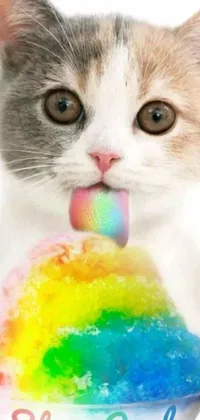Bring your phone screen to life with this vibrant live wallpaper! Featuring a cute and colorful close-up of a cat enjoying an ice cream cone, this wallpaper is sure to brighten up your day