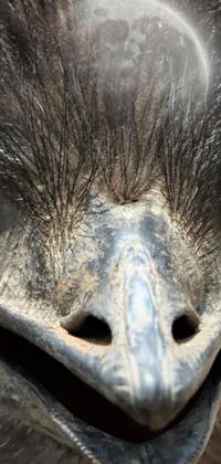 This live phone wallpaper showcases a detailed close-up of an ostrich's face, featuring a curved beak, large eyes, and intricate feathers