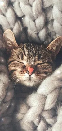 This phone live wallpaper showcases an adorable image of a contented cat lying on a soft woolen throw