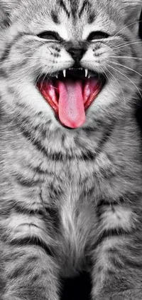 Looking for an adorable and playful phone wallpaper? Look no further than this stunning live wallpaper featuring a close-up of a cat with its mouth open and a large tongue protruding out