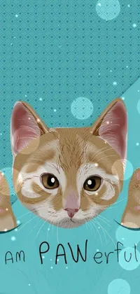 This phone live wallpaper features a close-up view of a cute cat, hiding behind various obstacles on a blue background