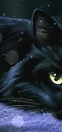 This stunning live wallpaper features a photorealistic black cat laying on a purple blanket with detailed, captivating eyes