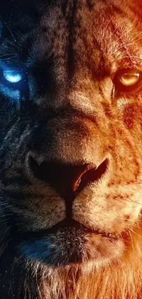 This impressive phone live wallpaper features a striking close-up shot of a lion with blue eyes in an epic movie poster style