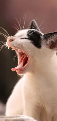 This close-up live wallpaper features an emotional cat in a white tank top, screaming, crying, and singing with its mouth open