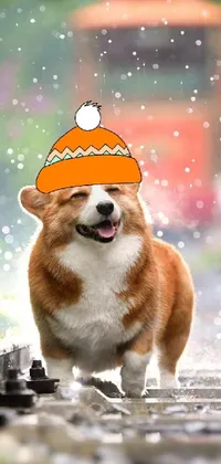 This phone live wallpaper features a charming brown and white dog in a cozy hat sitting on train tracks amidst gentle snowfall