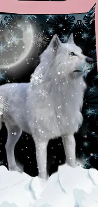 Carnivore Dog Breed Snow Live Wallpaper