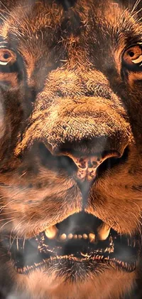 Carnivore Dog Felidae Live Wallpaper