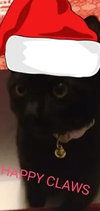 This phone live wallpaper features a mischievous black cat wearing a Santa hat perched atop a festive box