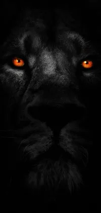 This phone live wallpaper features a striking, modern art-style depiction of a black lion with orange eyes