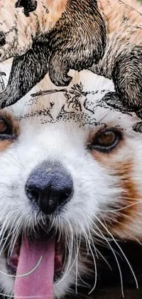 This live phone wallpaper depicts a dog with a panda hat in a playful digital rendering