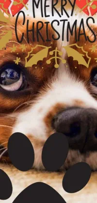 This phone live wallpaper showcases a cute furry dog adorned with a Christmas hat, perfect for the holiday season