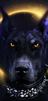 This phone live wallpaper showcases a detailed image of a dog with a collar, set against a black sun and a purple eclipse