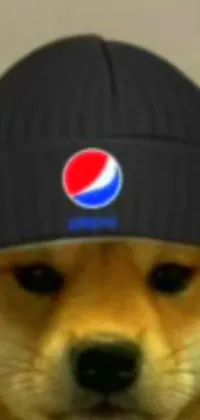 This phone live wallpaper features a delightful close-up of a dog wearing a bright blue Pepsi hat