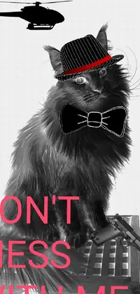 This phone live wallpaper features a captivating photograph of a feline wearing a hat and bow tie